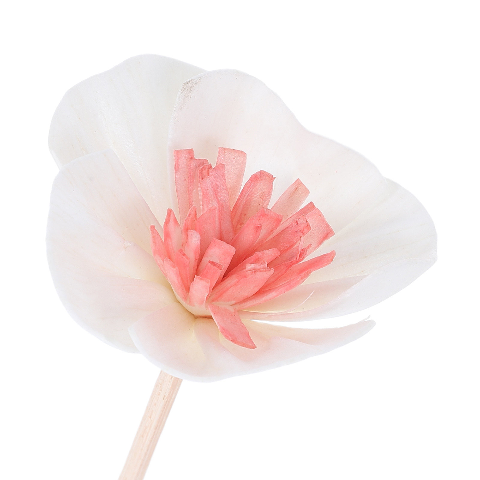 10 Buah Stik Diffuser Minyak E - Home Fragrance Oils For Diffusers ulasan dan harga