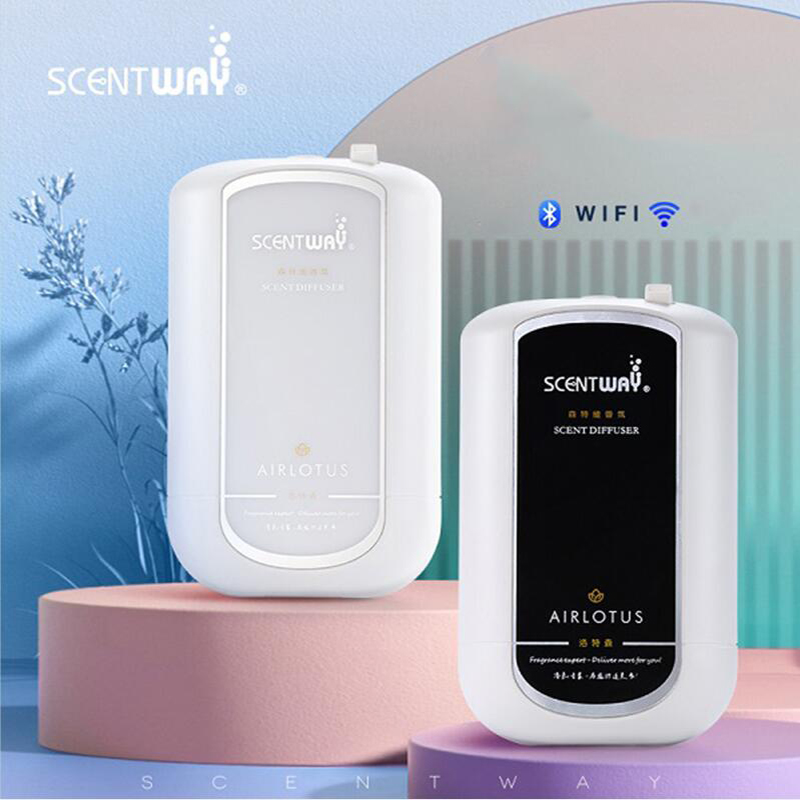 Diffuser Aroma minyak esensial - Home Fragrance Oils For Diffusers ulasan dan harga